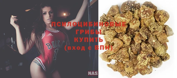 гидра Алексин