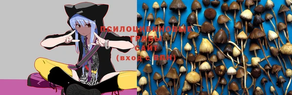 ешки Алзамай